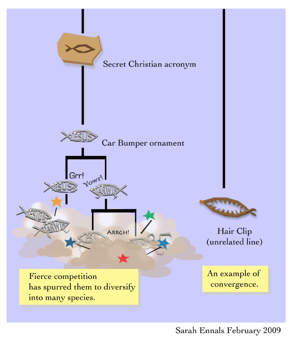 dne-ghoti