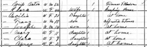 1880 United States Federal Census Record for Anton Weiss family
