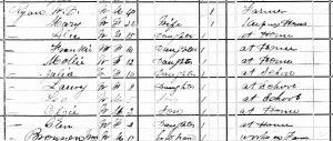 1880 United States Federal Census Record for William Ryan family