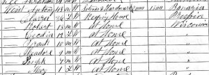 1870 United States Federal Census for Anton Weiss