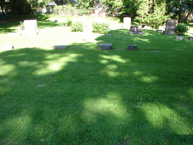 Mae Sorenson plot (no marker)