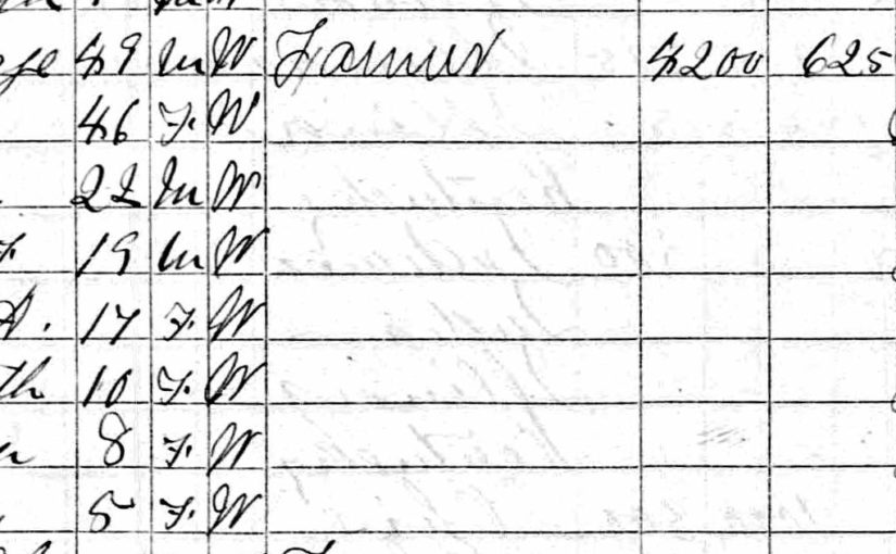 Holler family in Illinois for 1870 census